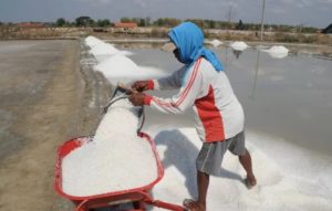 Presiden Jokowi Izinkan Impor Langsung Garam Industri